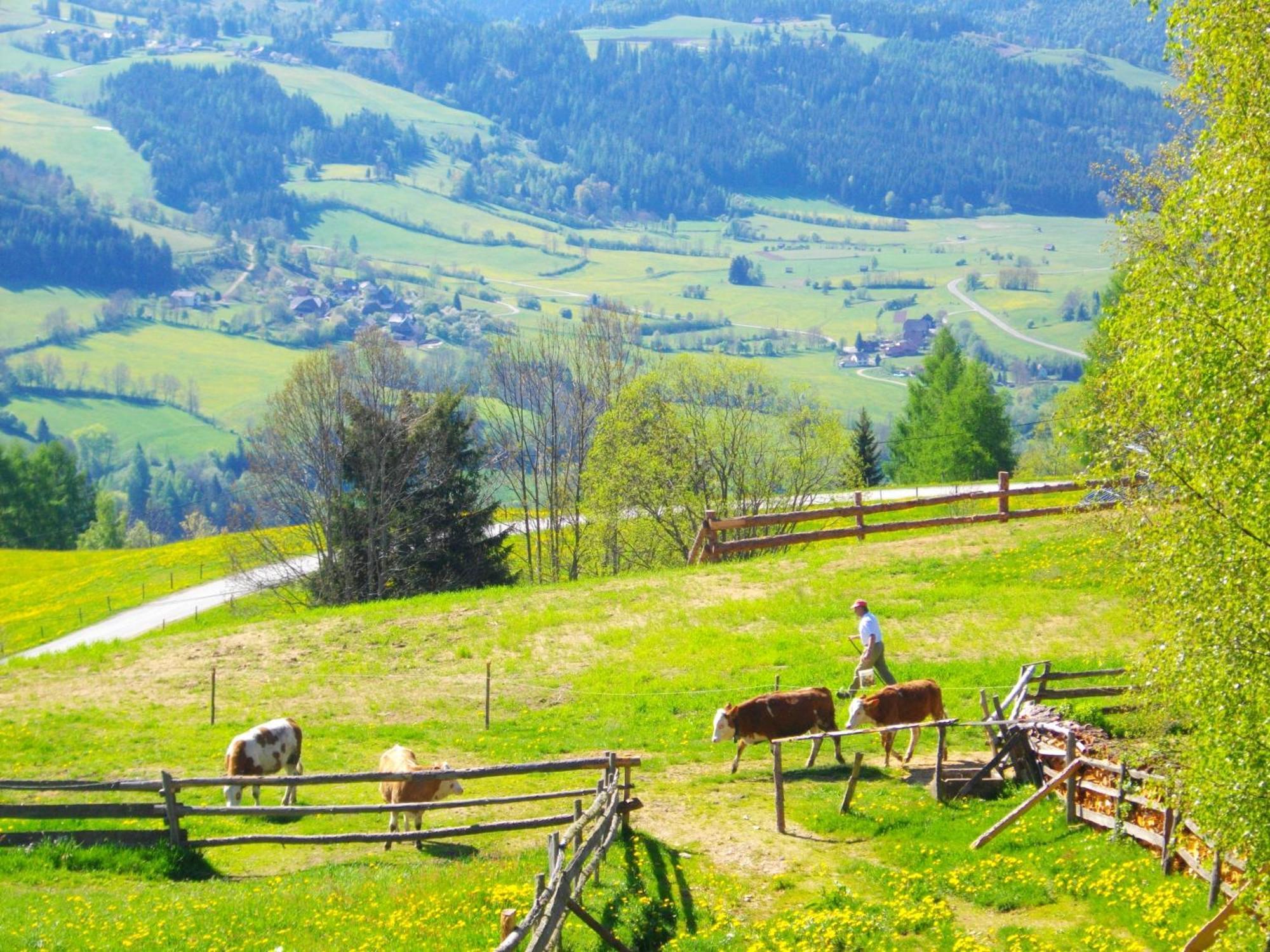 Gaestehaus Bischof Schoeder Luaran gambar